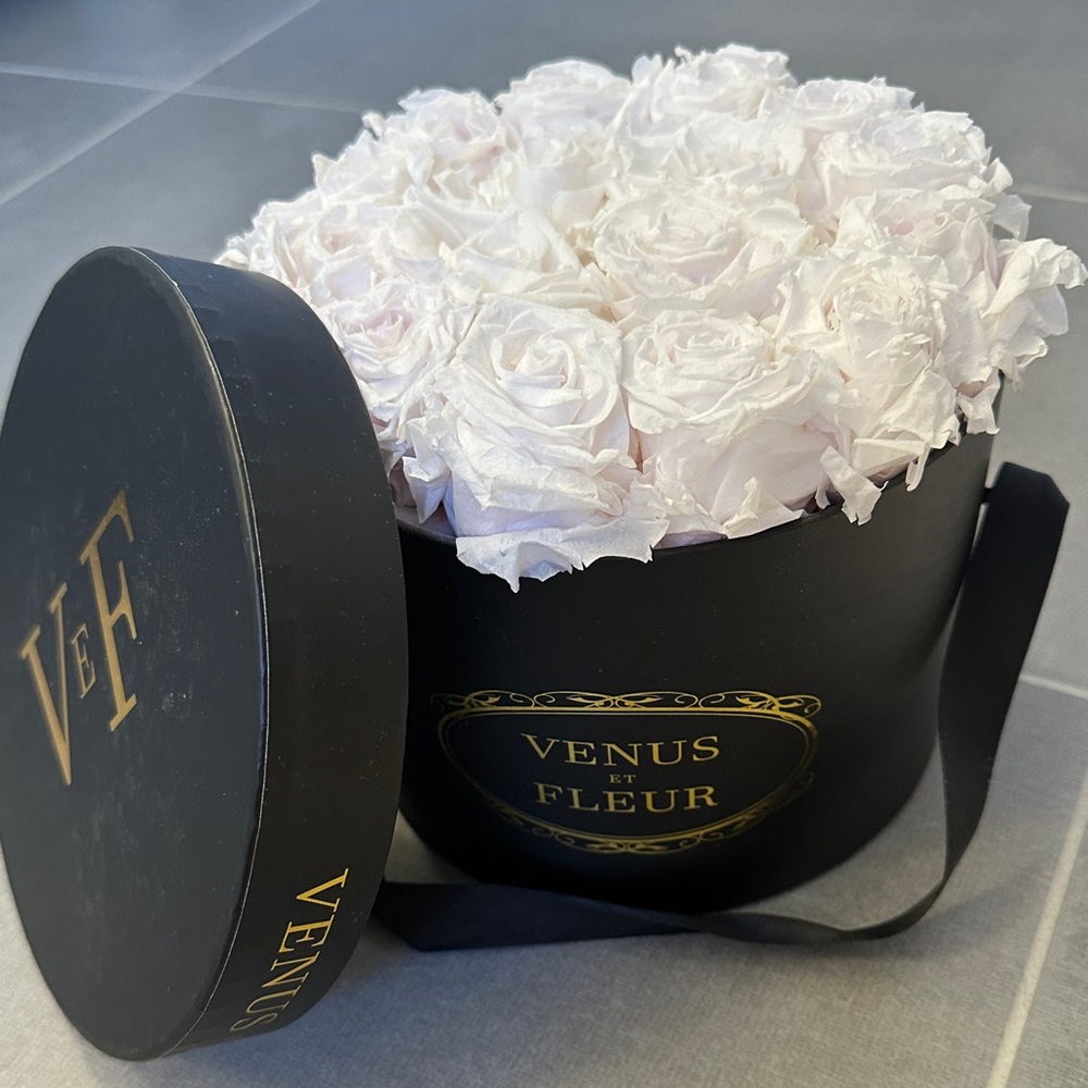 Venus Et Fleur Roses in Black Box